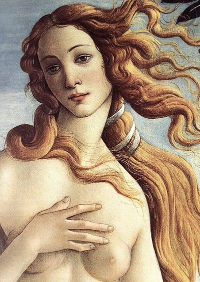 Sandro Botticelli Paintings